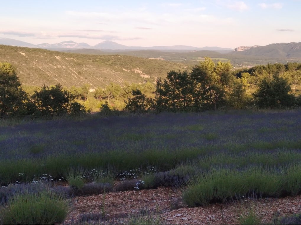 Vue aux alentours